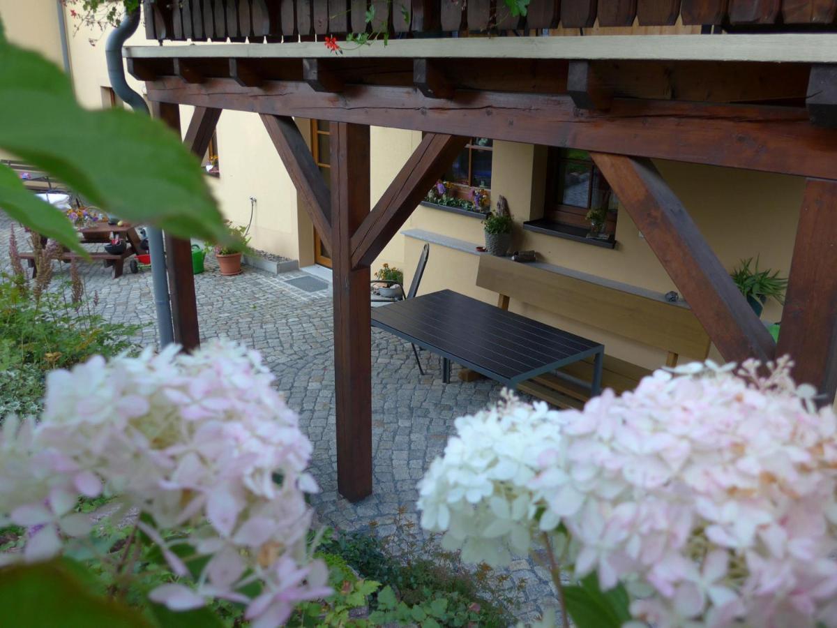 Ferienwohnung Aus-Zeit Auf Dem Lande Bad Gottleuba-Berggiesshuebel ภายนอก รูปภาพ