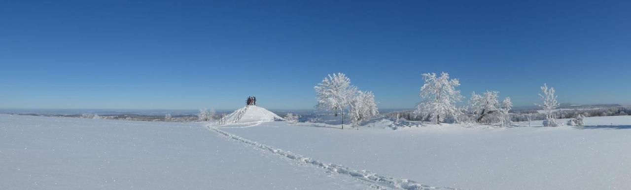 Ferienwohnung Aus-Zeit Auf Dem Lande Bad Gottleuba-Berggiesshuebel ภายนอก รูปภาพ