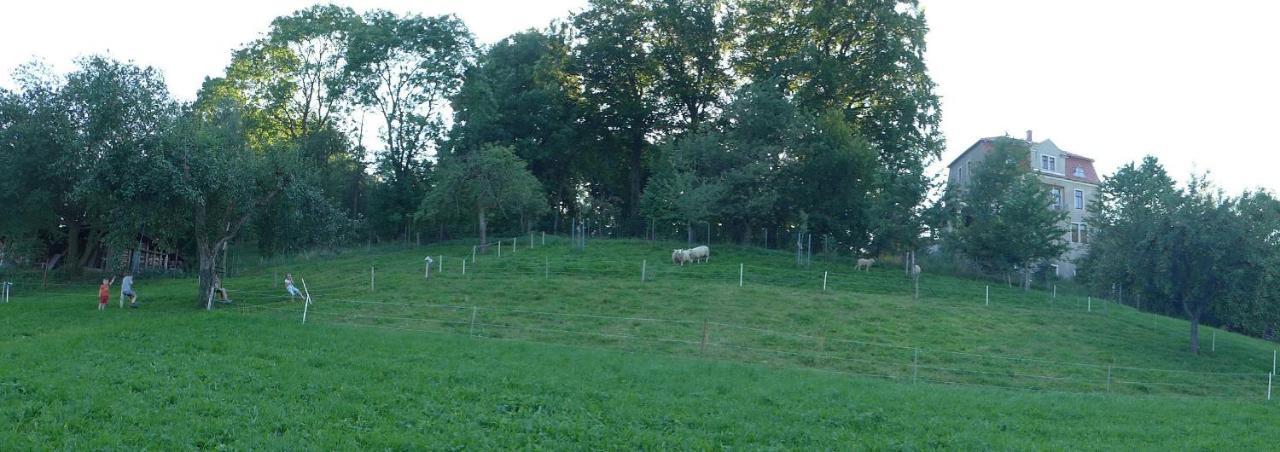 Ferienwohnung Aus-Zeit Auf Dem Lande Bad Gottleuba-Berggiesshuebel ภายนอก รูปภาพ
