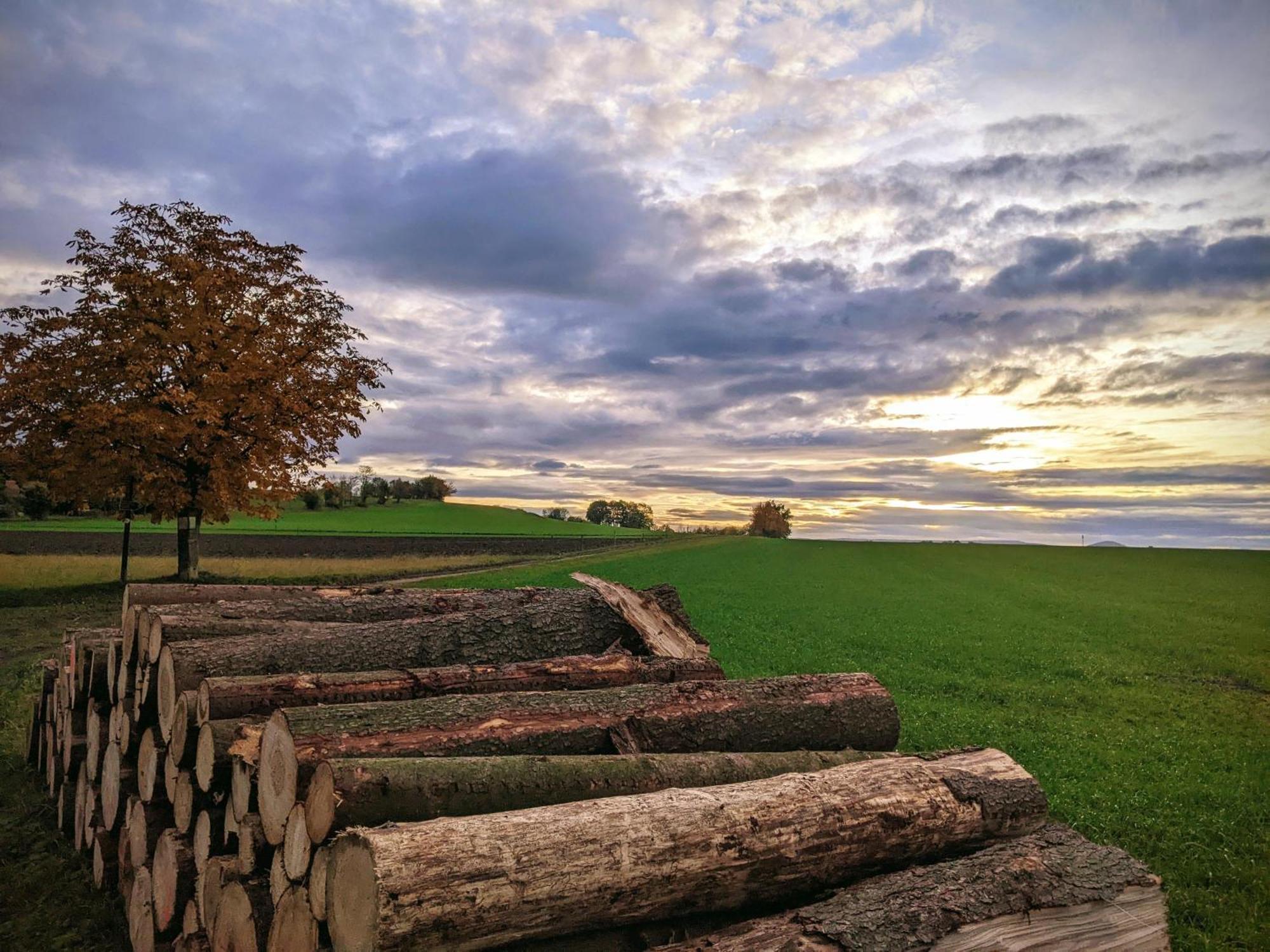 Ferienwohnung Aus-Zeit Auf Dem Lande Bad Gottleuba-Berggiesshuebel ภายนอก รูปภาพ